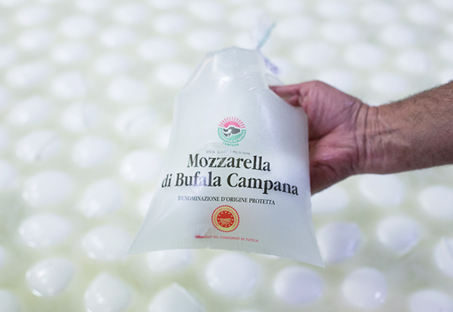 Mozzarella di bufala campana